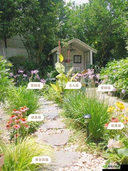 时温旅行种花攻略：打造独特花园景象