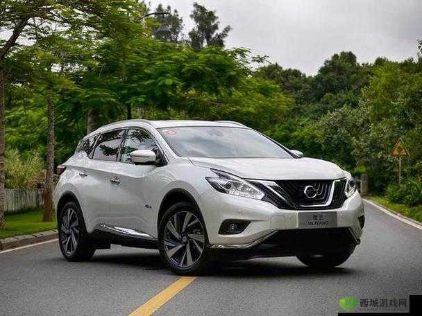 国产 SUV 精品一区二区四区三区：车型亮点介绍