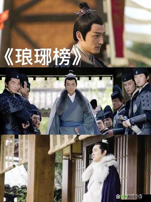 麻花影视免费观看电视剧琅琊：精彩剧情不容错过