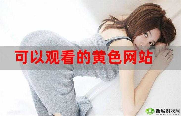 免费 B 站在线观看人数在哪儿找到：揭秘真实数据